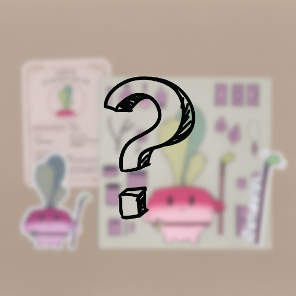 Pack d'Aventurier Surprise